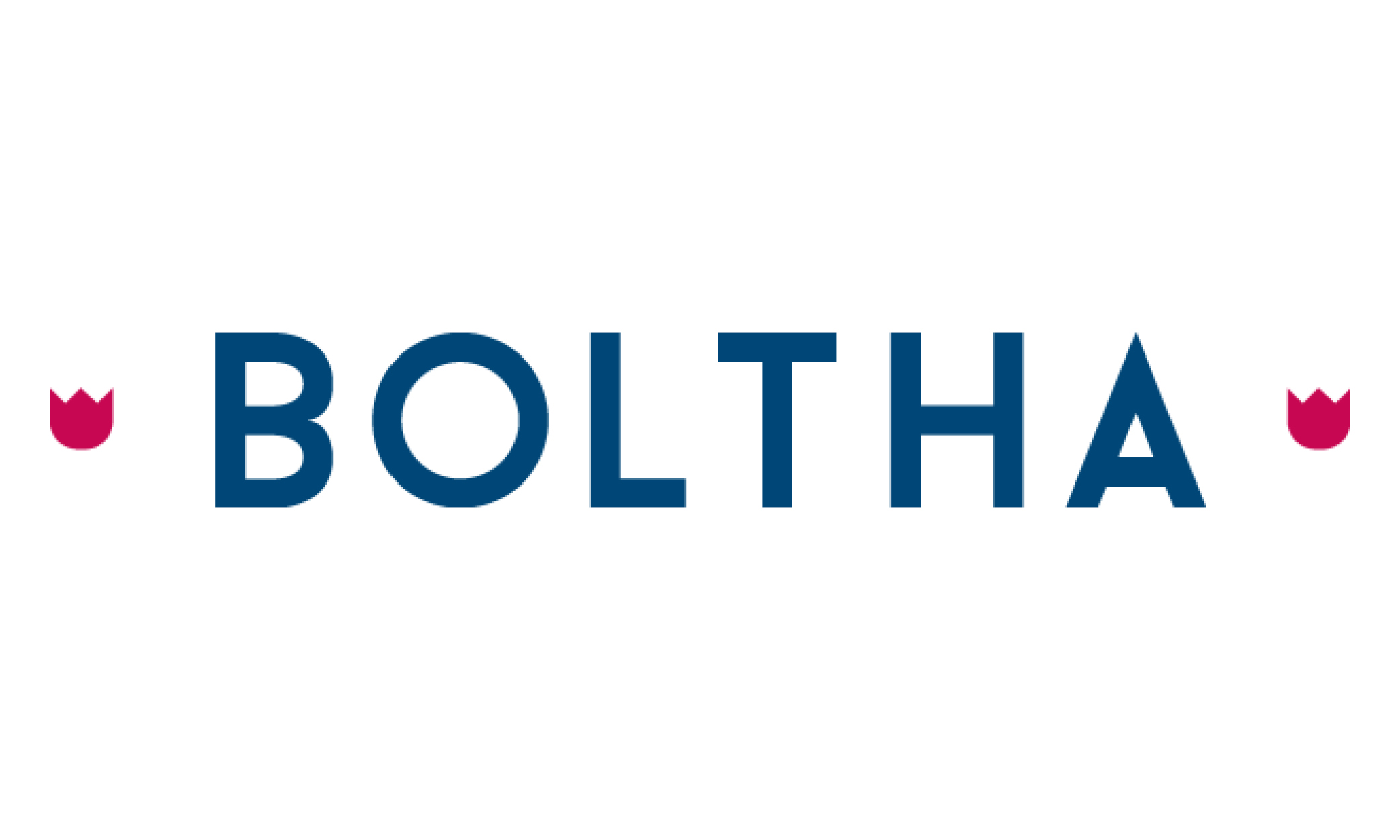 Deelnemers logos 1000x600px 10 boltha