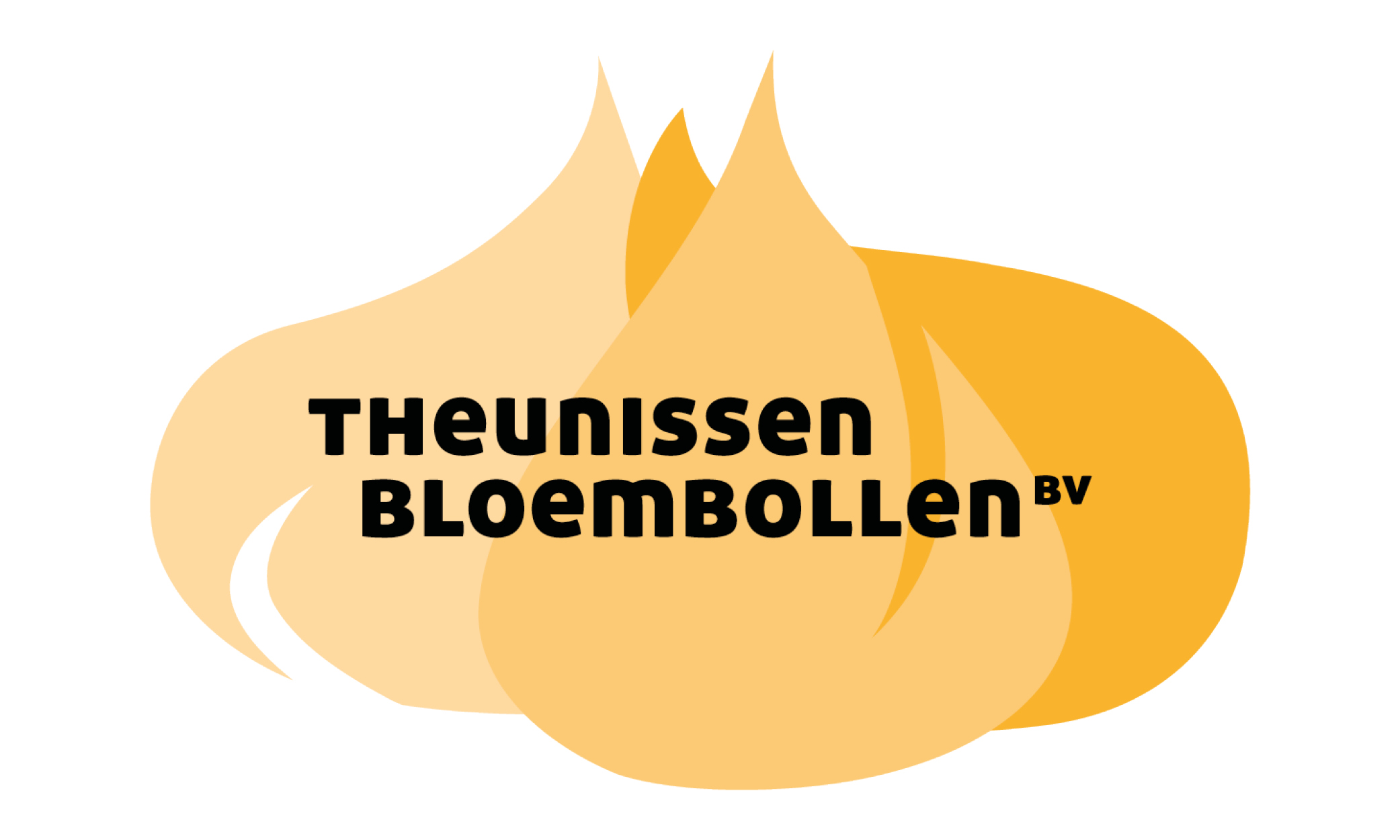Deelnemers logos 1000x600px 16 theunissen
