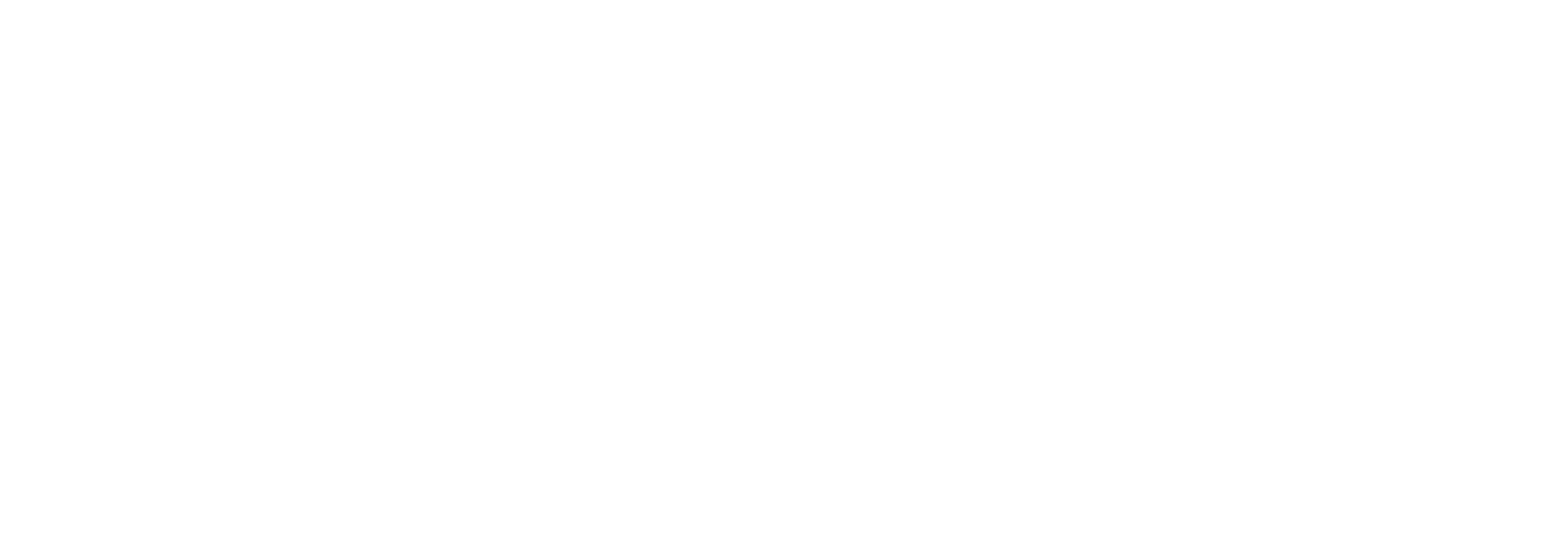 PQS   woordmerk   04 wit